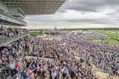 Doncaster named one of the most festive racecourses by new study.