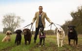 Casting call for badly behaved dogs for eighth series of popular TV show.