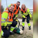 A road block was put in place to retrieve the swan.