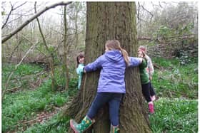 There's plenty of winter activities to enjoy at Potteric Carr.