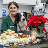 Veterinary nurse Chloe Poynton and Flynn, and festive hazards pets should avoid