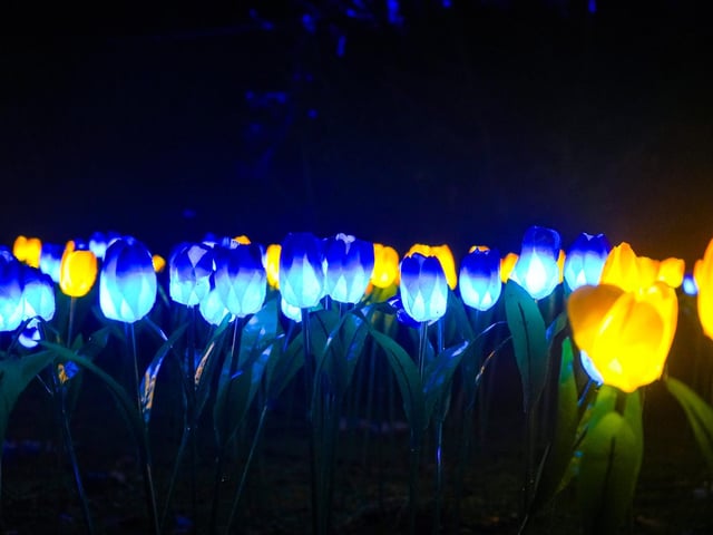 Yorkshire Wildlife Park winter illuminations 2025