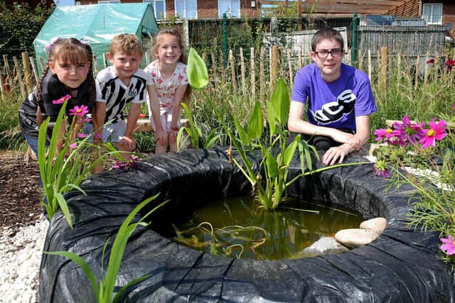 Harrison College student, Nat Bennetts-McBride at the new pond area, with Saltersgate Infant School pupils, Lucy Beaumont,6 Leo John,6 and Millie Kemp,6