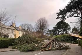 The storm is causing some damage.