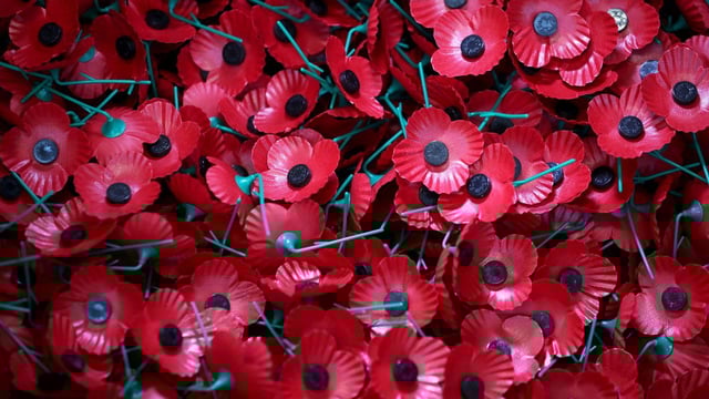 Poppies will be sold across the UK as normal this year.