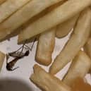 Robyn was shocked to find a dead insect in her McDonald's fries.