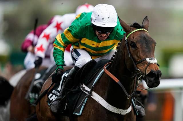 Barry Geraghty riding Epatante to victory at Cheltenham last year. Photo by Alan Crowhurst/Getty Images
