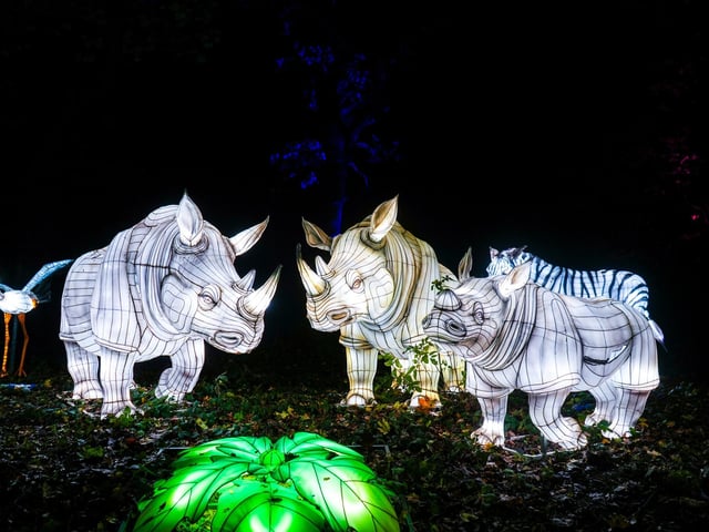 Yorkshire Wildlife Park winter illuminations 2025