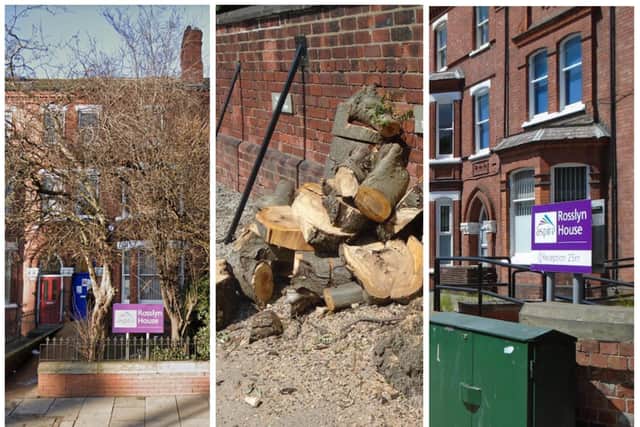 A number of mature trees have been chopped down at Aspire in Doncaster.