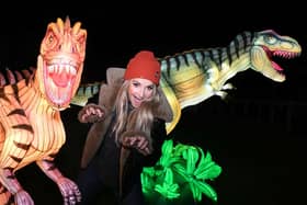 TV presenter Helen Skelton visits the Christmas Illuminations at Yorkshire Wildlife Park.