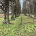 The park is always good for a walk