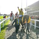Paul Townend riding Al Boum Photo celebrates winning last year's Magners Cheltenham Gold Cup Chase. Photo: Dan Mullan/Getty Images