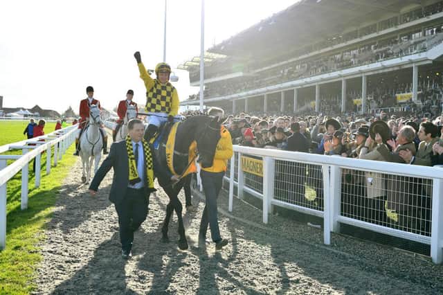 Paul Townend riding Al Boum Photo celebrates winning last year's Magners Cheltenham Gold Cup Chase. Photo: Dan Mullan/Getty Images
