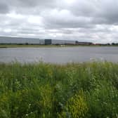 Yorkshire Wildlife Trust announces new nature reserve in Doncaster: a story of urban success.