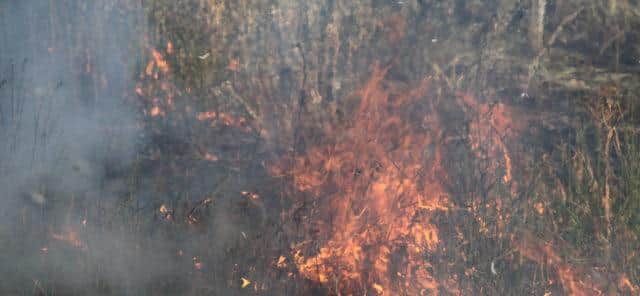 More grassland fires