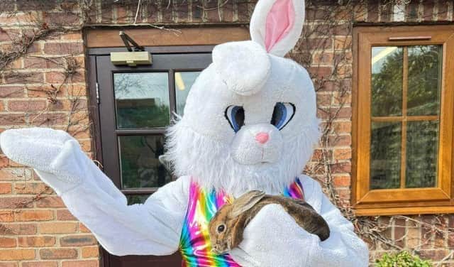 Meet the Easter Bunny at the Tropical Butterfly House.