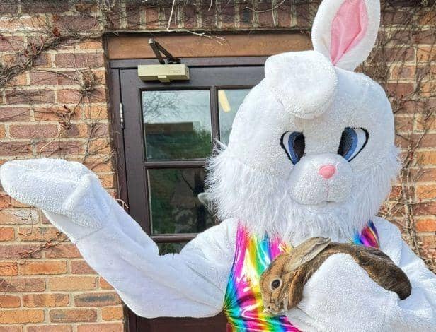 Meet the Easter Bunny at the Tropical Butterfly House.