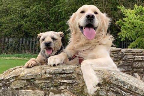 Teddy and Stanley were among last year's winners