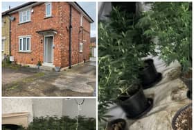 If you have concerns about a potential cannabis cultivation in your neighbourhood, you must report it to police so we can tackle this issue and tear apart these operations.
