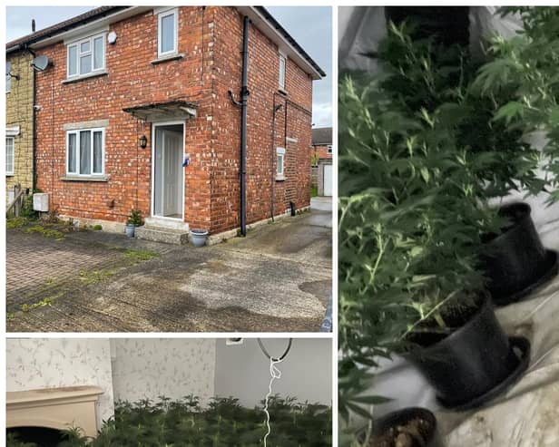 If you have concerns about a potential cannabis cultivation in your neighbourhood, you must report it to police so we can tackle this issue and tear apart these operations.