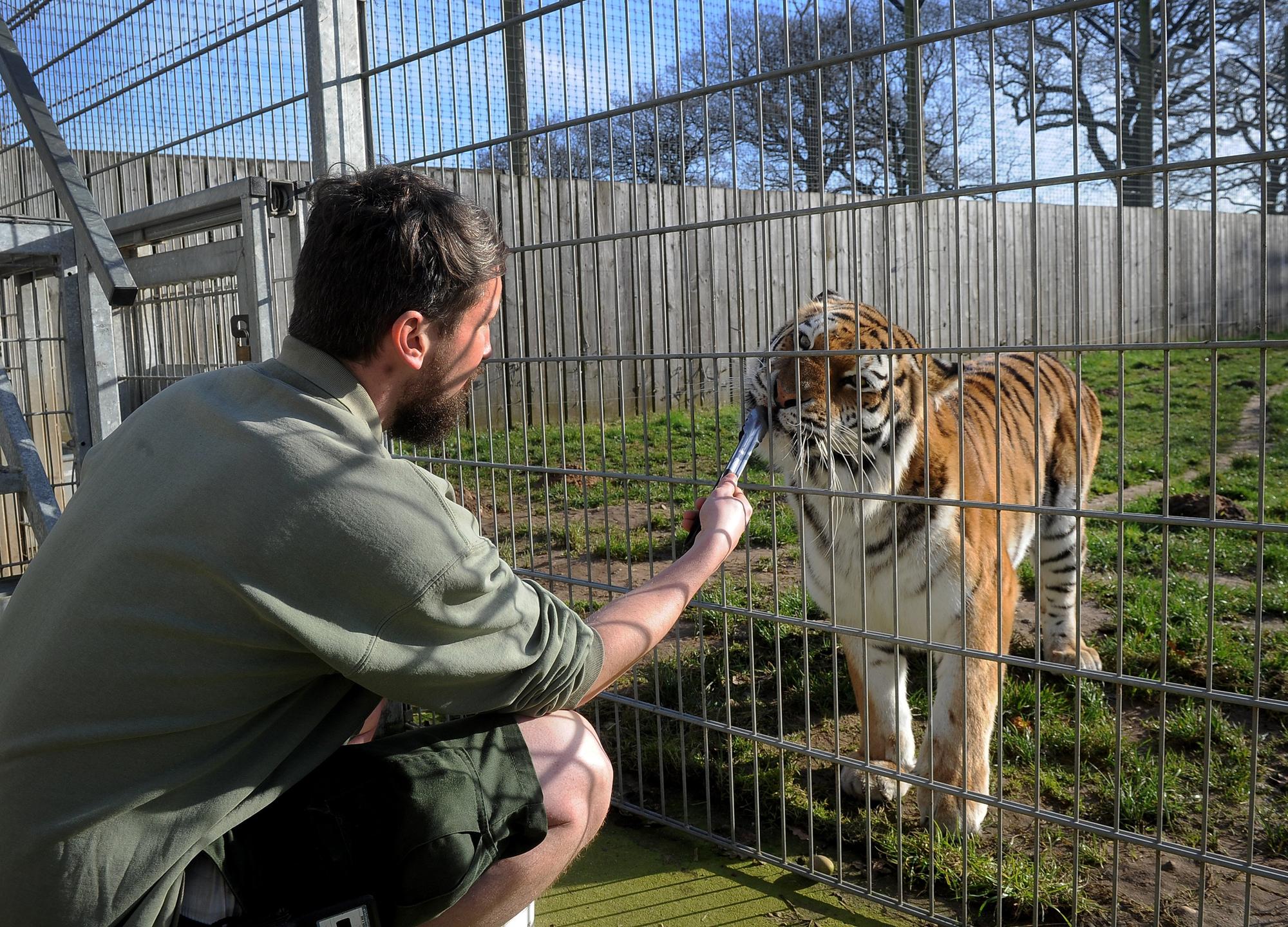 Doncaster's Yorkshire Wildlife Park set to double in size after £15m
