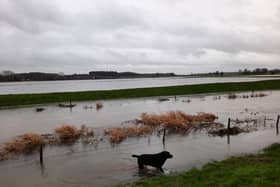 Flooding near the River Idle in Bawtry.