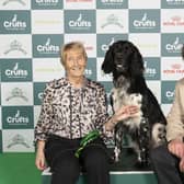 Chrissine Ogle from Doncaster with Lexi, a Large Munsterlander, which was the Best of Breed winner at the second day of Crufts 2024. Picture: BeatMedia/The Kennel Club