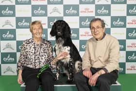 Chrissine Ogle from Doncaster with Lexi, a Large Munsterlander, which was the Best of Breed winner at the second day of Crufts 2024. Picture: BeatMedia/The Kennel Club