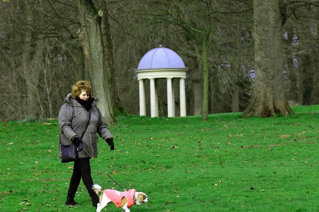 On a breezy day Angie Hemmerman walks with her dog