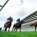 Palace Pier, right, with Frankie Dettori aboard, wins the St James's Palace Stakes at Royal Ascot last year. Photo by EDWARD WHITAKER/POOL/AFP via Getty Images