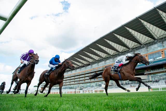 Palace Pier, right, with Frankie Dettori aboard, wins the St James's Palace Stakes at Royal Ascot last year. Photo by EDWARD WHITAKER/POOL/AFP via Getty Images