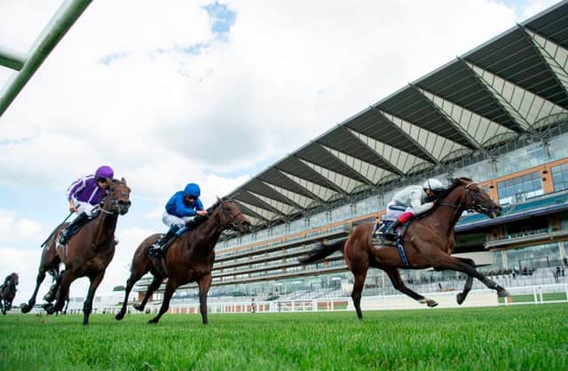 Palace Pier, right, with Frankie Dettori aboard, wins the St James's Palace Stakes at Royal Ascot last year. Photo by EDWARD WHITAKER/POOL/AFP via Getty Images