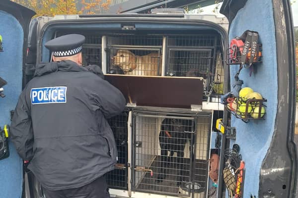 Sergeant Simon Kirkham, PC Joe Gourdin and PC Paul Briggs went out with Police Dog Rosco.