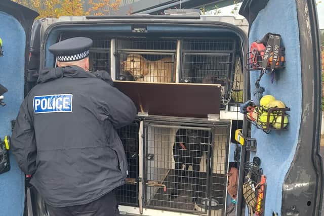Sergeant Simon Kirkham, PC Joe Gourdin and PC Paul Briggs went out with Police Dog Rosco.