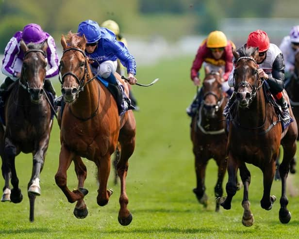 Hurricane Lane (blue) is favourite for this weekend's St Leger. Photo by Alan Crowhurst/Getty Images