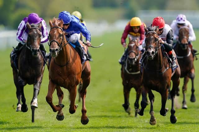 Hurricane Lane (blue) is favourite for this weekend's St Leger. Photo by Alan Crowhurst/Getty Images