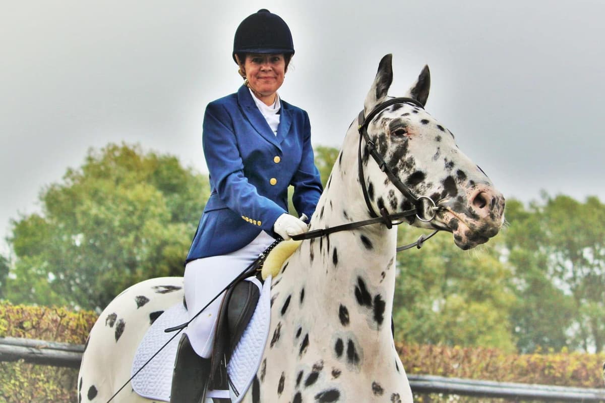 In The Saddle with Anita Marsh: Sweet itch season is upon us
