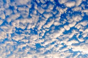 There will be plenty of cloud around - whether it will be as pretty as this alto cumulus we don't know