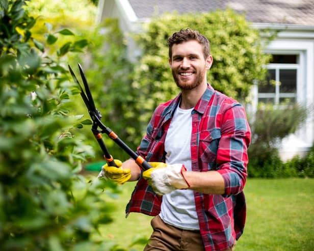 Sixty-three per cent of UK gardeners play music to their plants, research found (photo: Adobe)