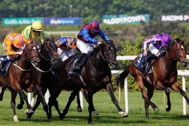 The unbeaten Los Angeles (centre) is one of the leading fancies for Saturday's big race. (PHOTO BY: Getty Images)