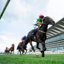 Pyledriver has been backed into second favourite for the St Leger. Photo by Edward Whitaker/POOL/AFP via Getty Images