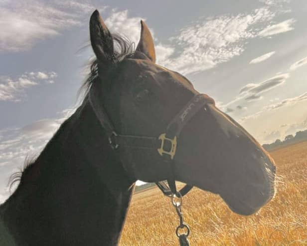 Reins and Roots has opened its doors in Doncaster.