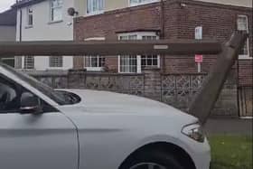 The lamp-post was snapped in half after being hit by a BMW.