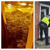 Police found cannabis plants under a sink and in bedrooms after raiding a house in Sprotbrough.
