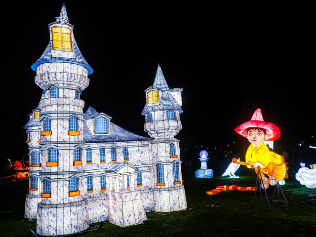 Yorkshire Wildlife Park winter illuminations 2025