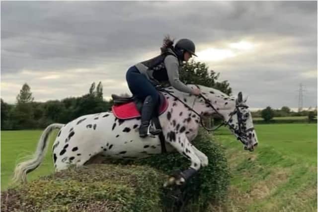 Harriette Rushton rides Sully over the hedges.