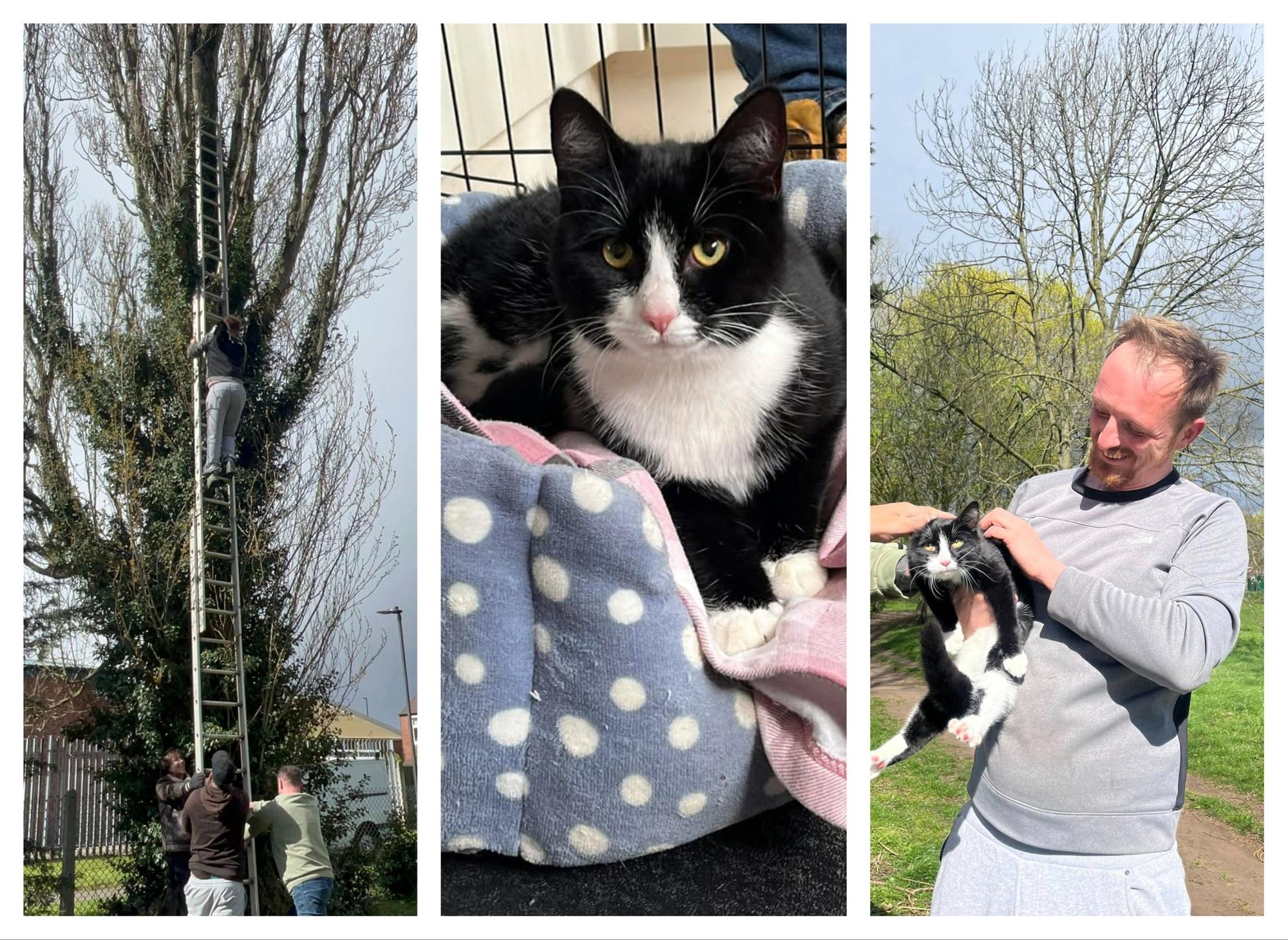 Video: Cat rescued from tree after becoming trapped during Storm Dave winds