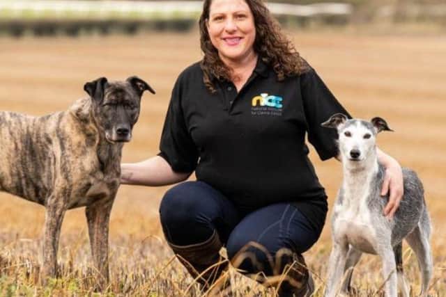 Jo Middleton is issuing this urgent warning - Animal News Agency