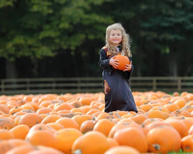 Spooky Halloween fun at Stockeld Park in October