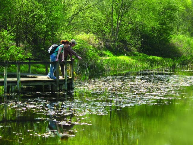 Potteric Carr Nature Reserve - Credit Catrin Rees.